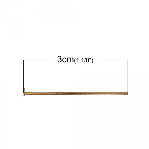 10 nagels 30 mm platte kop 14K verguld