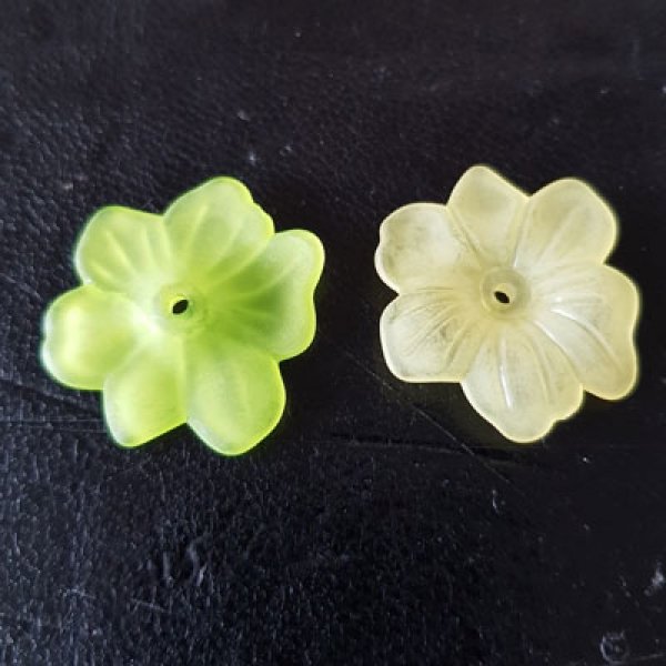 15 Bloemen N&deg;02 assorti