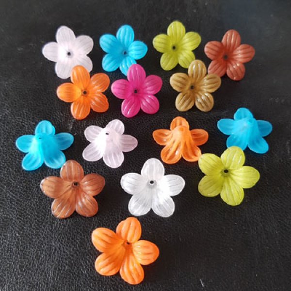 15 geassorteerde viooltjes