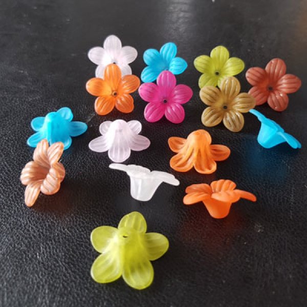 15 geassorteerde viooltjes