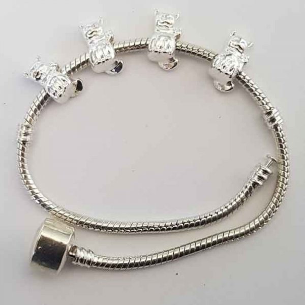 Kattenbedeltje N&deg;12 x 50