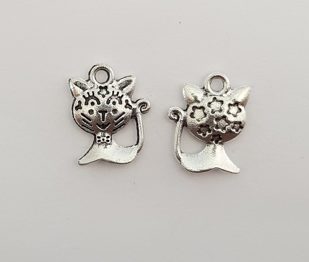 Kattenbedeltje N°15