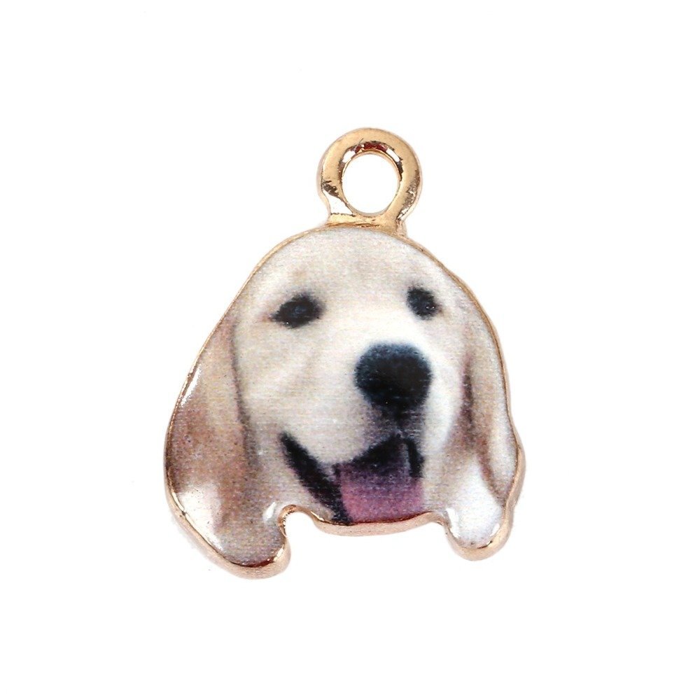 Hond Bedel N°06