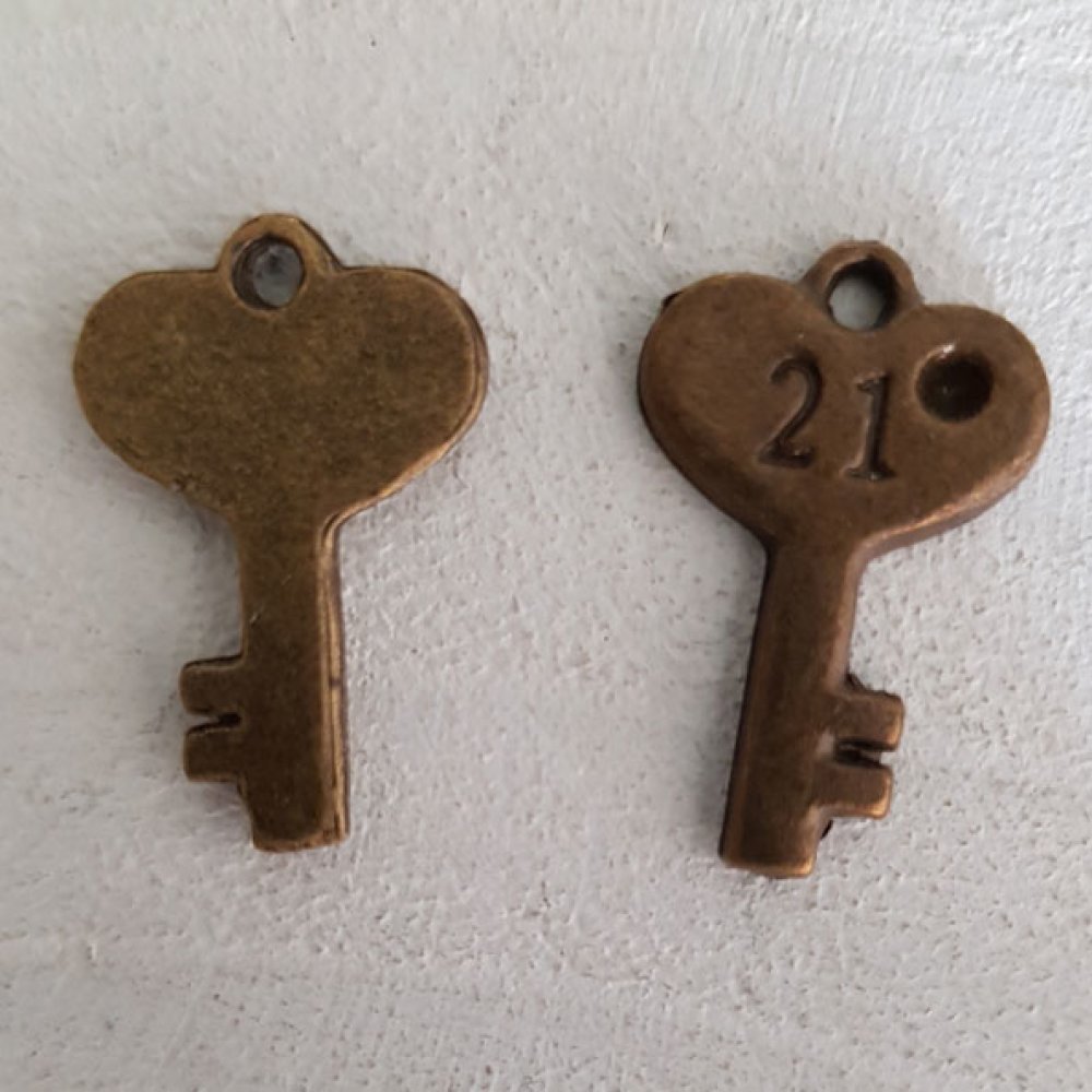Sleutelhanger N°15 Brons
