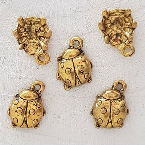 Kever bedel N&deg;02 Goud