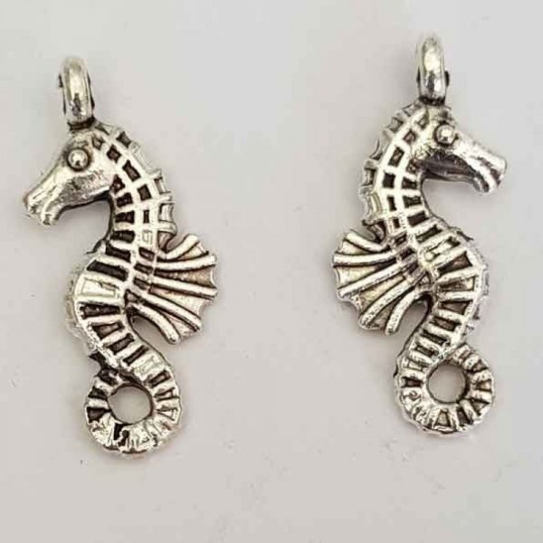 Zeepaardje bedel N&deg;02