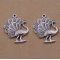 Pauw Bedel in zilver metaal-01 Pauw hanger 