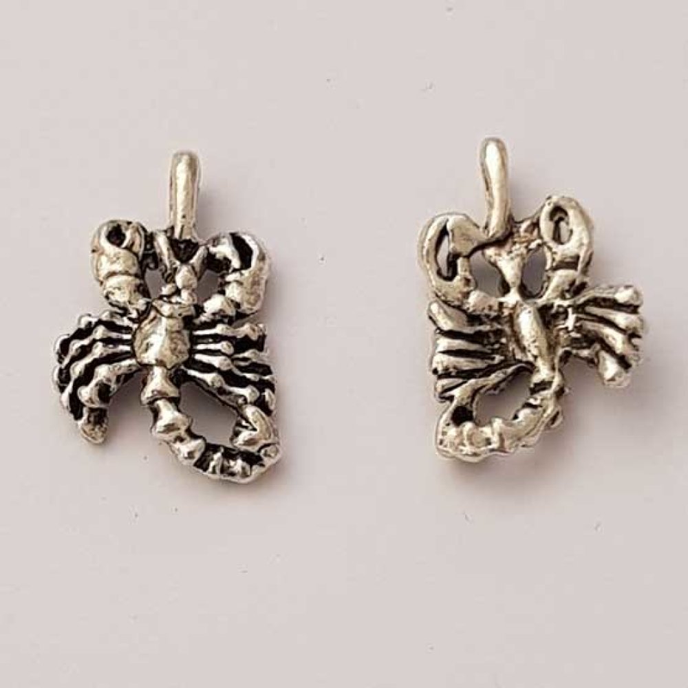 Sterrenbeeld bedel Schorpioen Zilver Metaal N°01