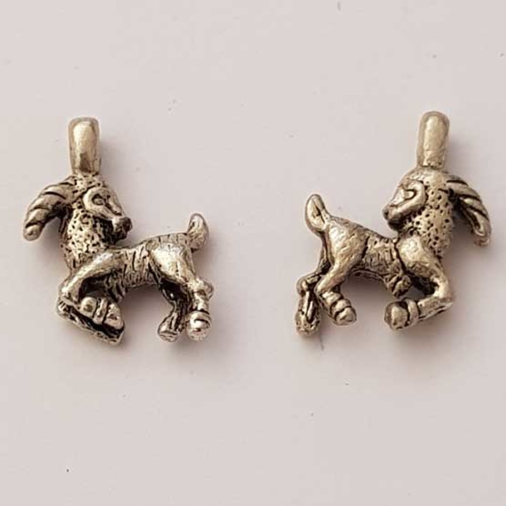 Sterrenbeeld bedel Steenbok Zilver Metaal N°01