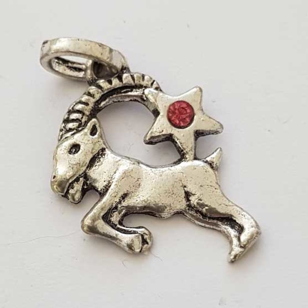 Sterrenbeeld bedel Steenbok verzilverd N°03 met strass steentjes
