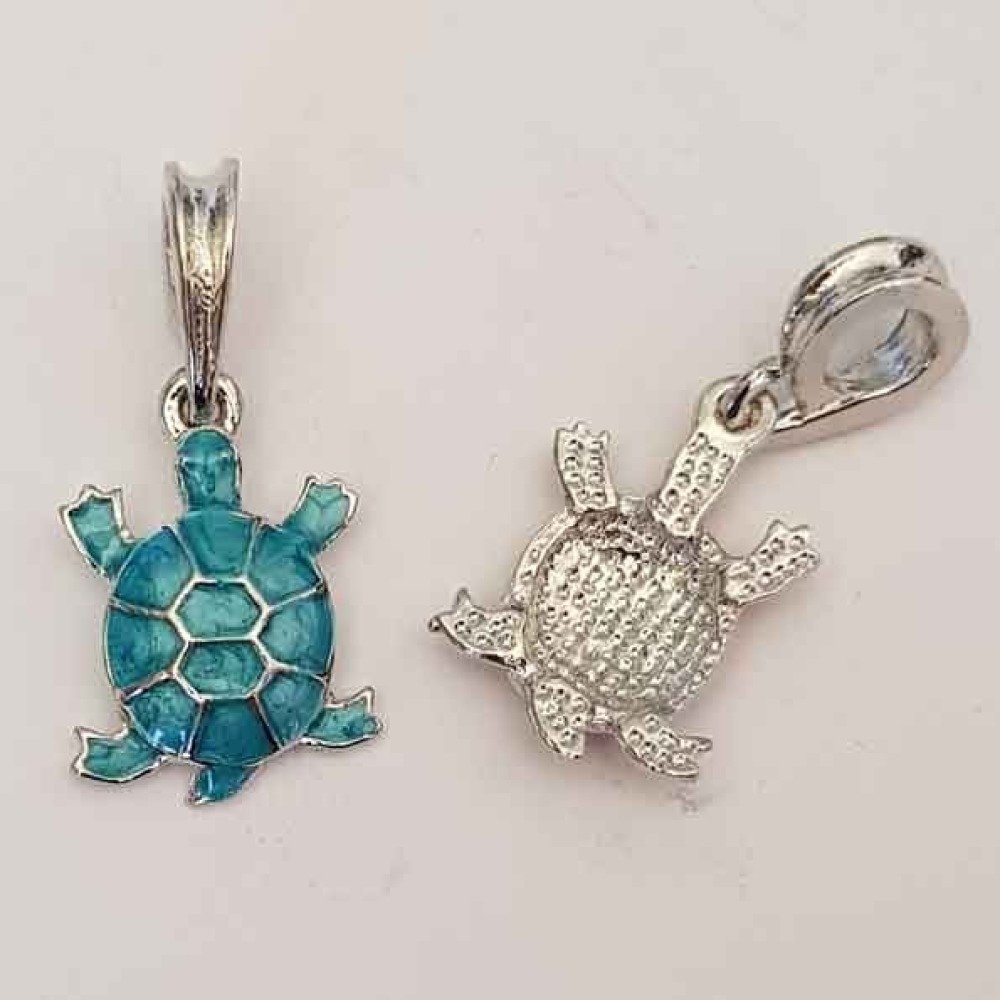 Schildpaddenbedeltje N°03