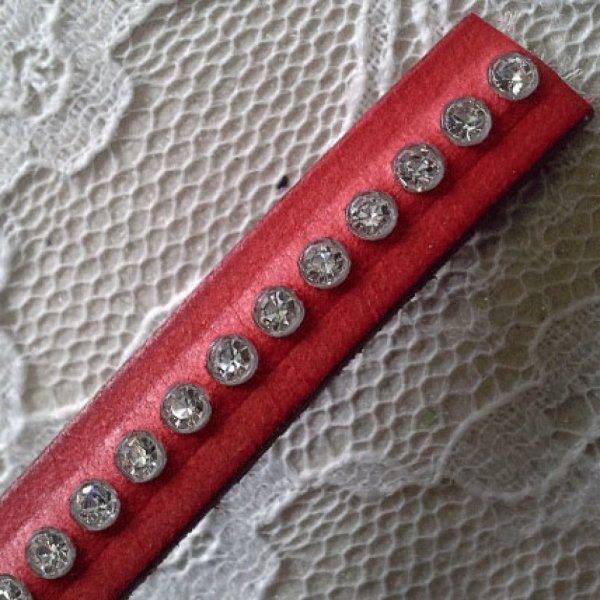 Leer B-Rood 10 mm Swarovski Strass per 20 cm