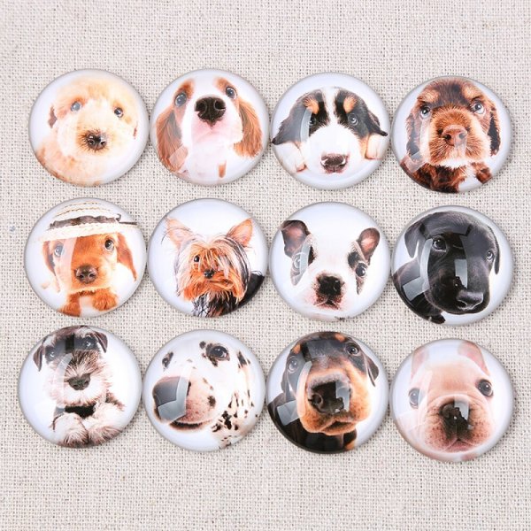 Lot 24 ronde glazen cabochons 25mm Gemengde Hond Glazen cabochon 