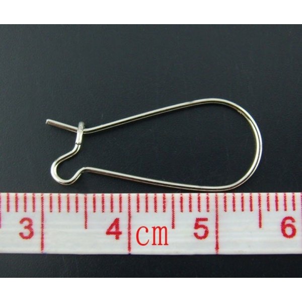 Dormeuse Oorbelhouder 25mm N&deg;06 x 40 Paar