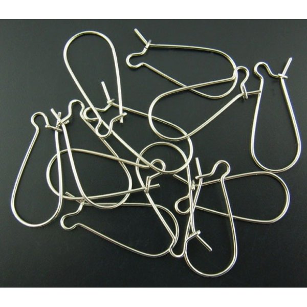 Dormeuse Oorbelhouder 25mm N&deg;06 x 40 Paar