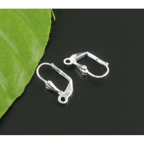 Sleeper Oorbelhouder N&deg;20 x 10 Paar