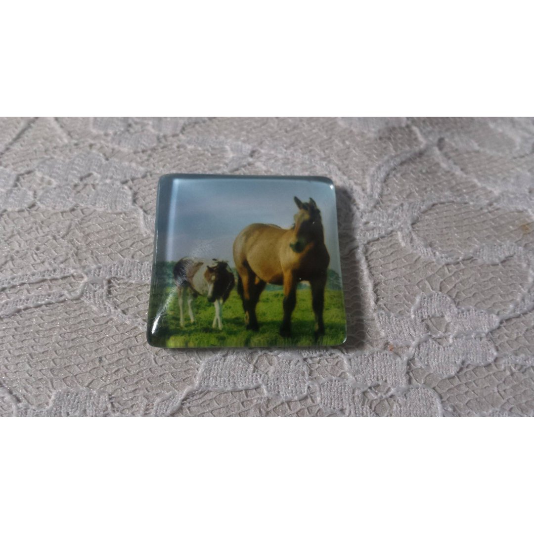 vierkante glazen cabochon 30mm 021 