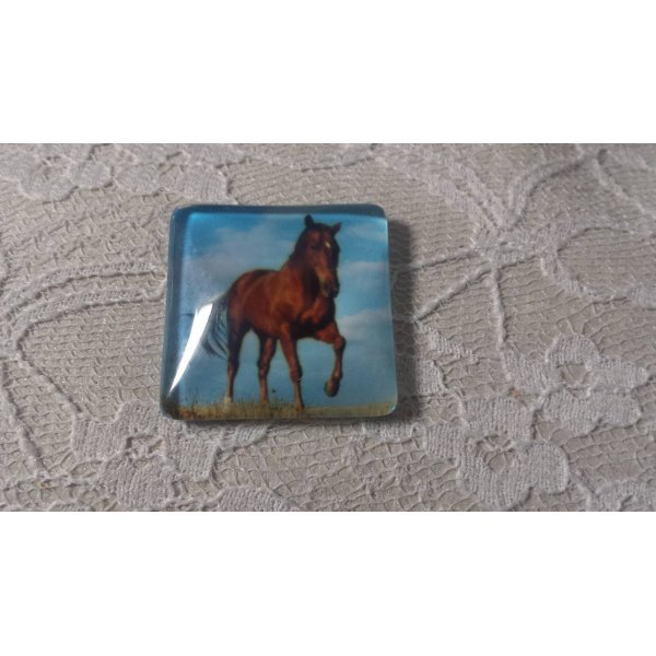 glas vierkante cabochon 30mm 015 