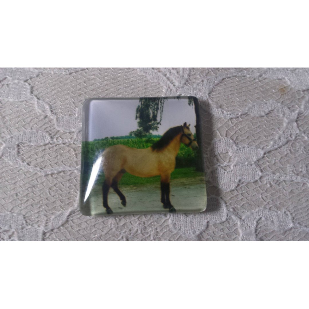 vierkante glazen cabochon 30mm 007 