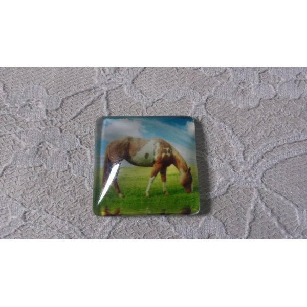 vierkante glazen cabochon 30mm 001 