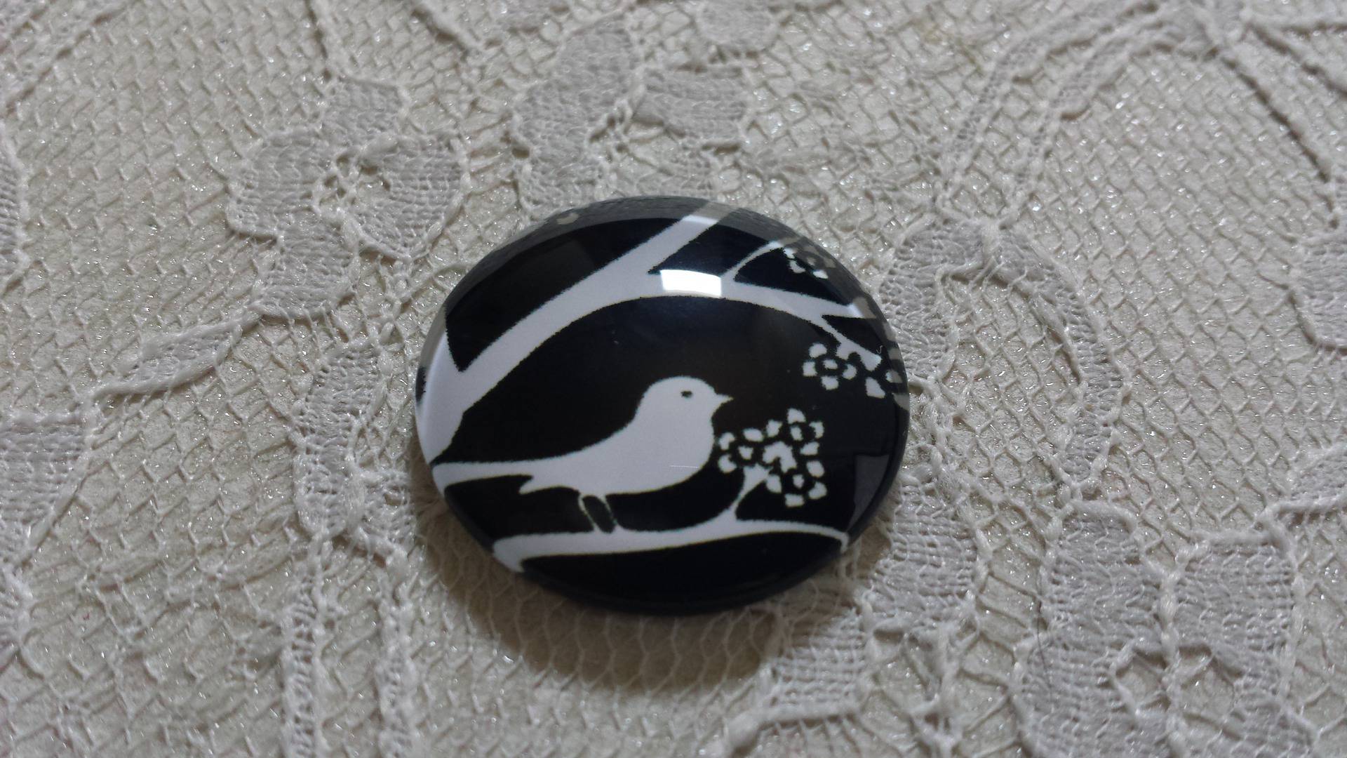 rond glas cabochon 10mm vogels 021 