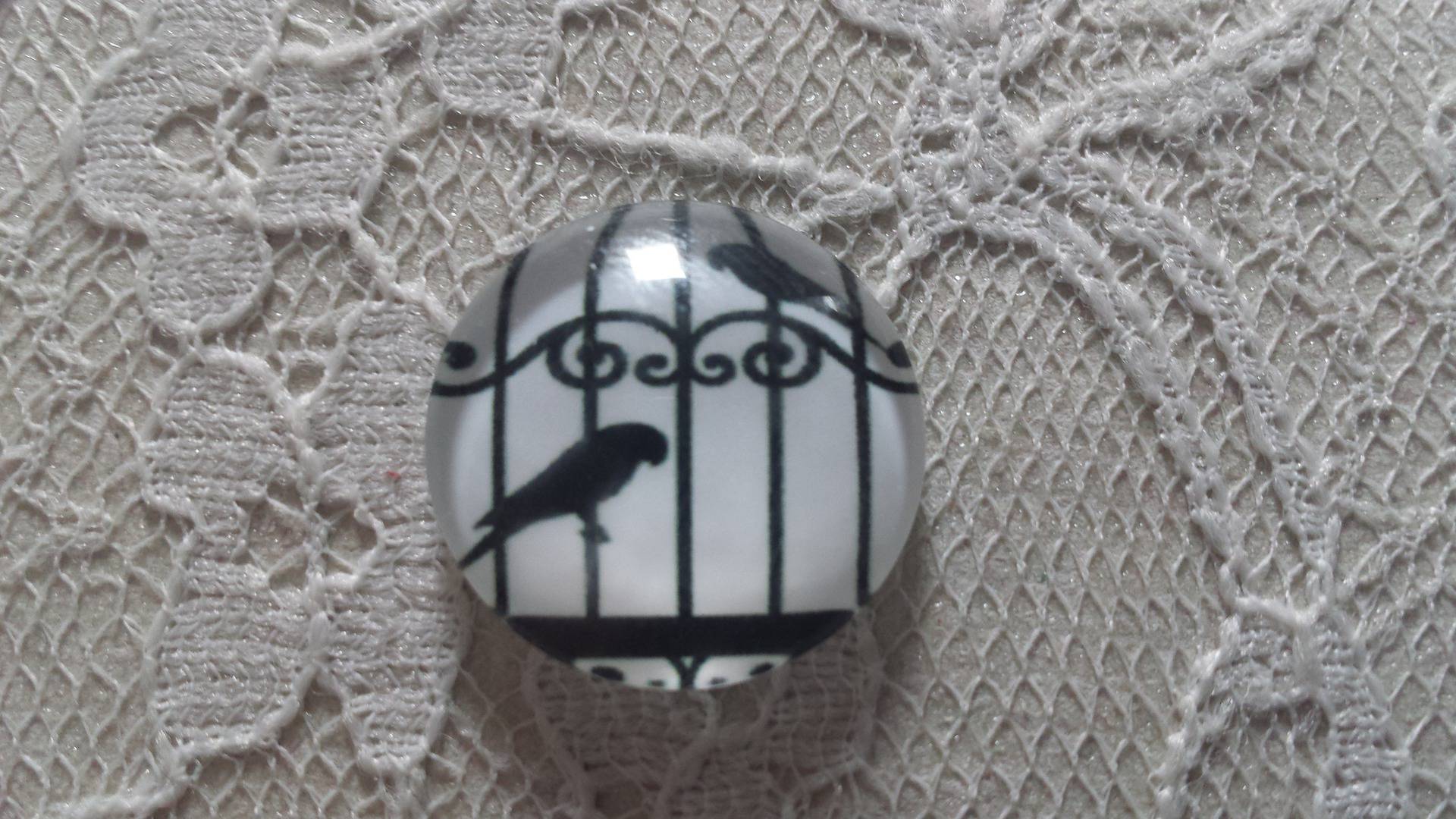 cabochon rond glas 10mm vogels 008 