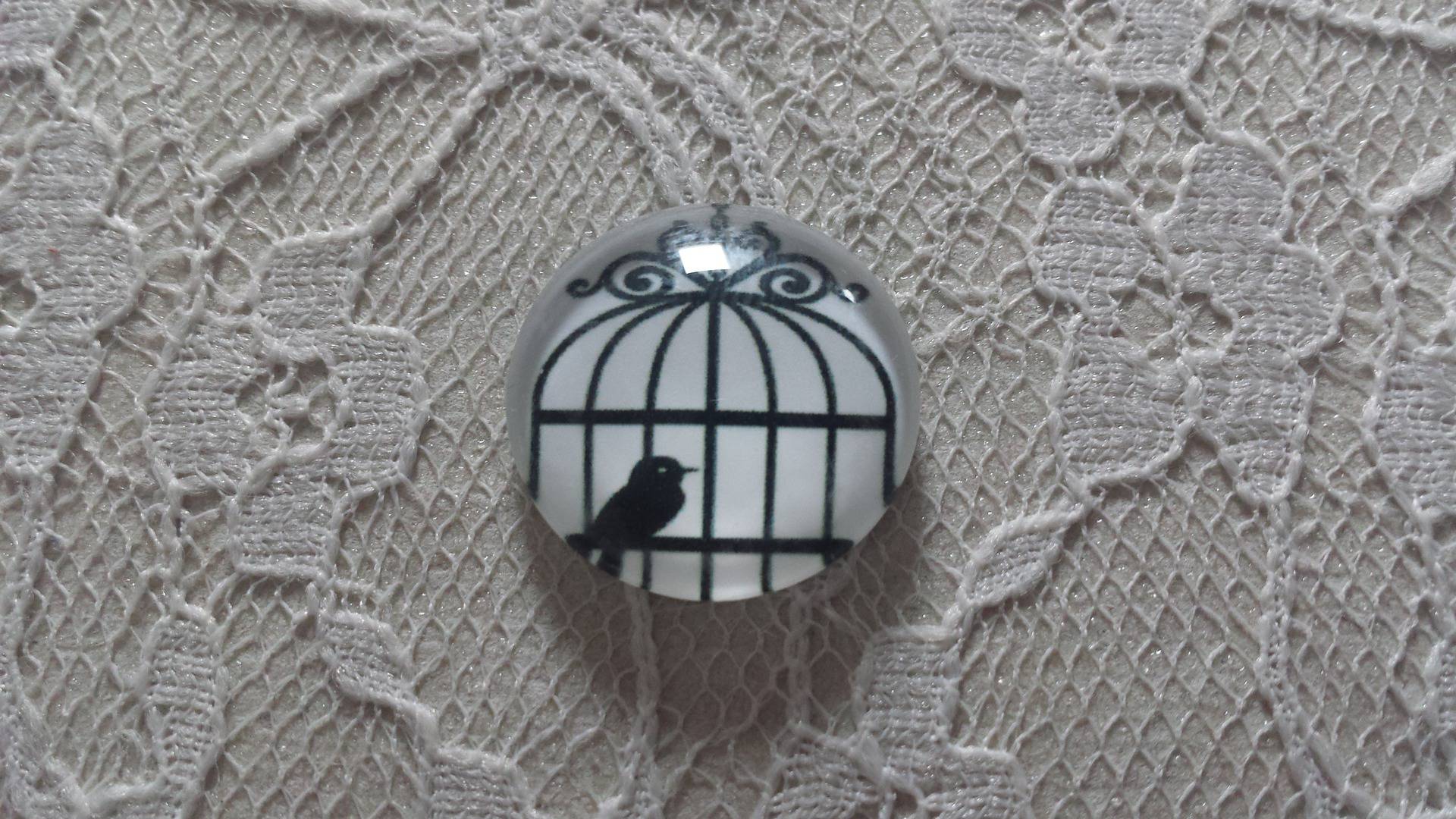 cabochon rond glas 10mm vogels 007 