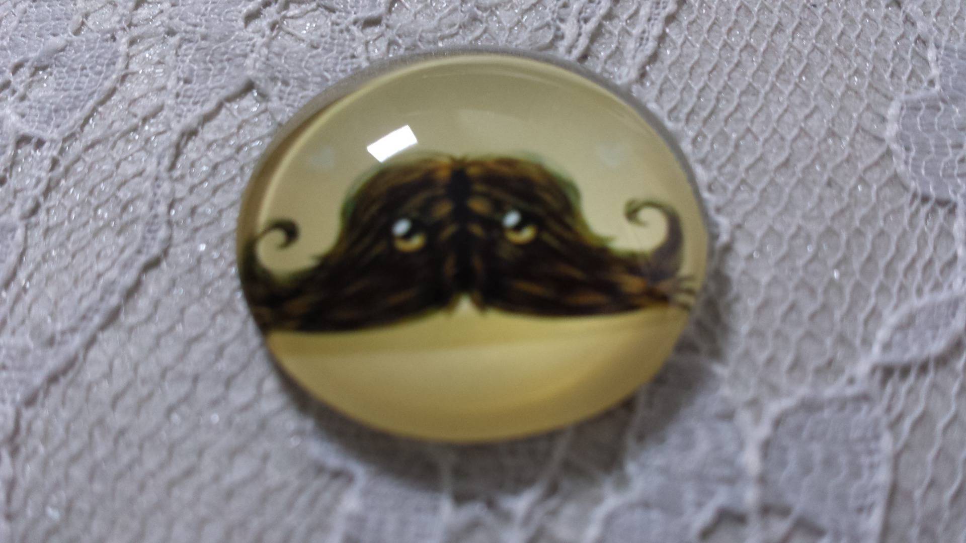 glazen cabochon rond 25mm snor 032 