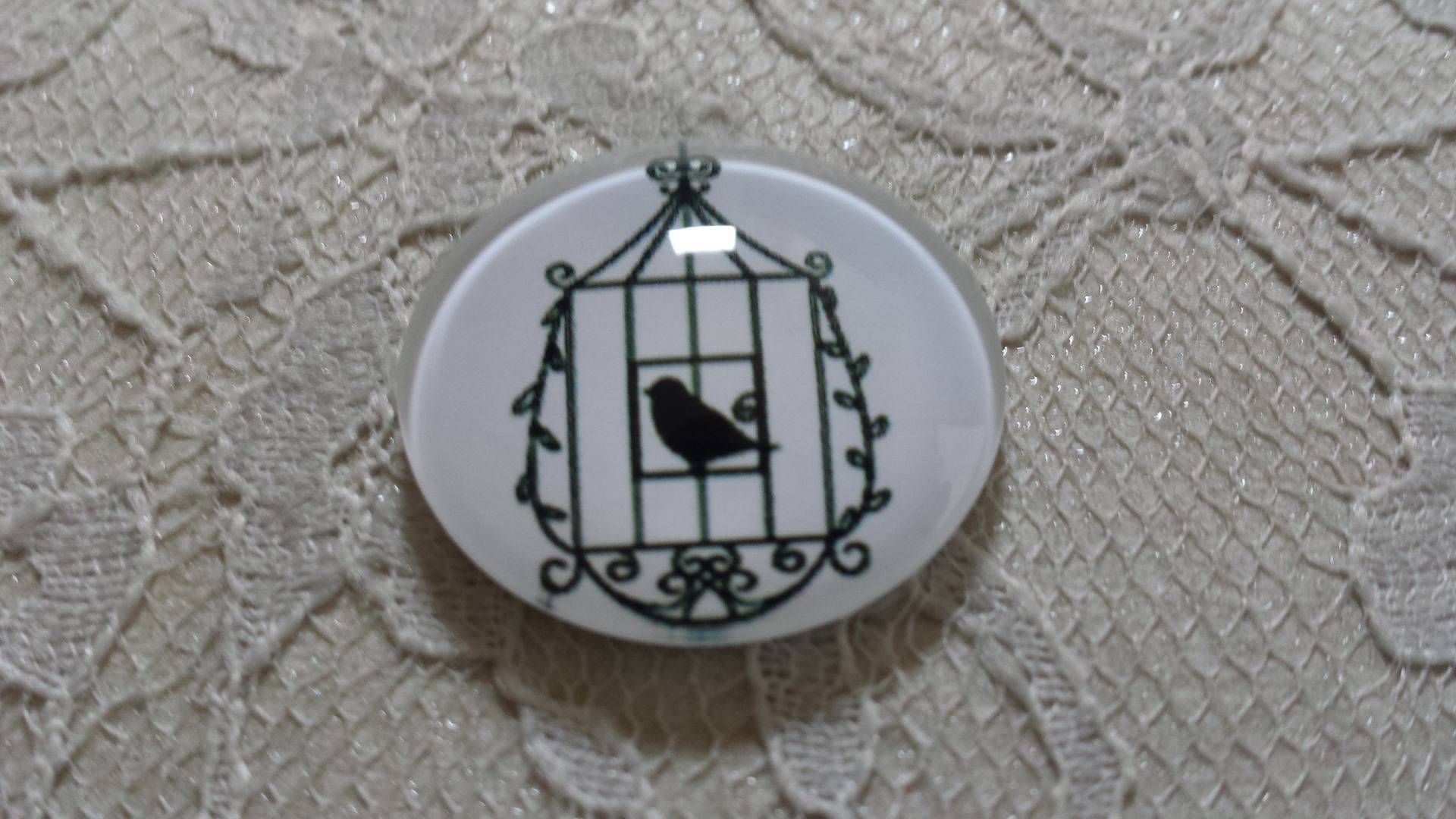 rond glas cabochon 20mm vogels 023 