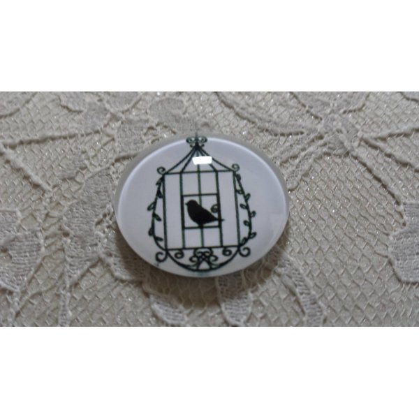rond glas cabochon 20mm vogels 023 