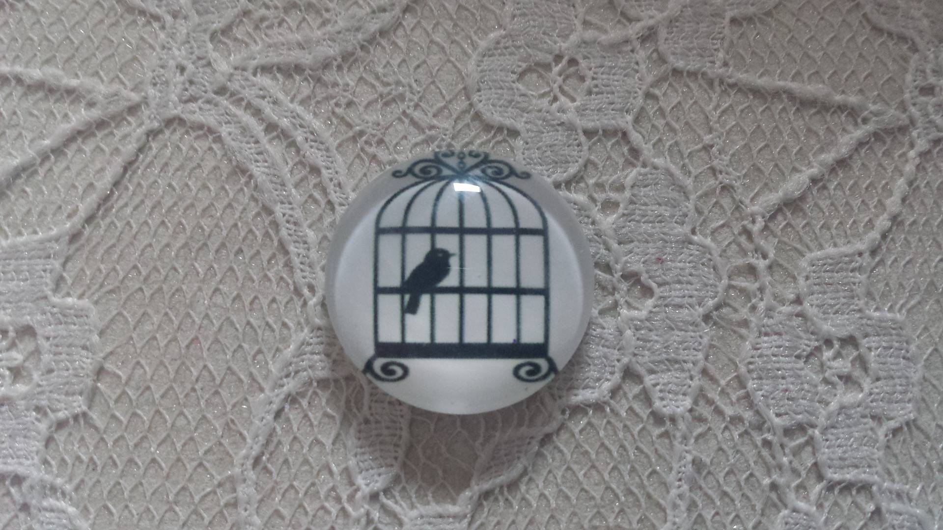 cabochon rond glas 25mm vogels 015 