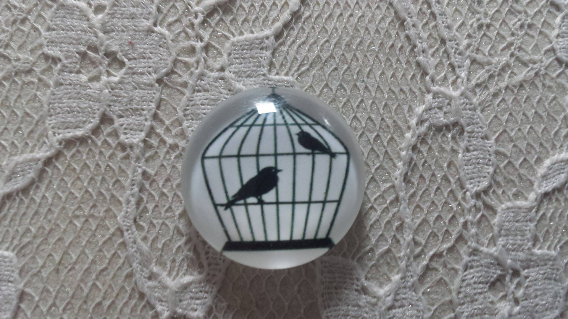 cabochon rond glas 25mm vogels 009 