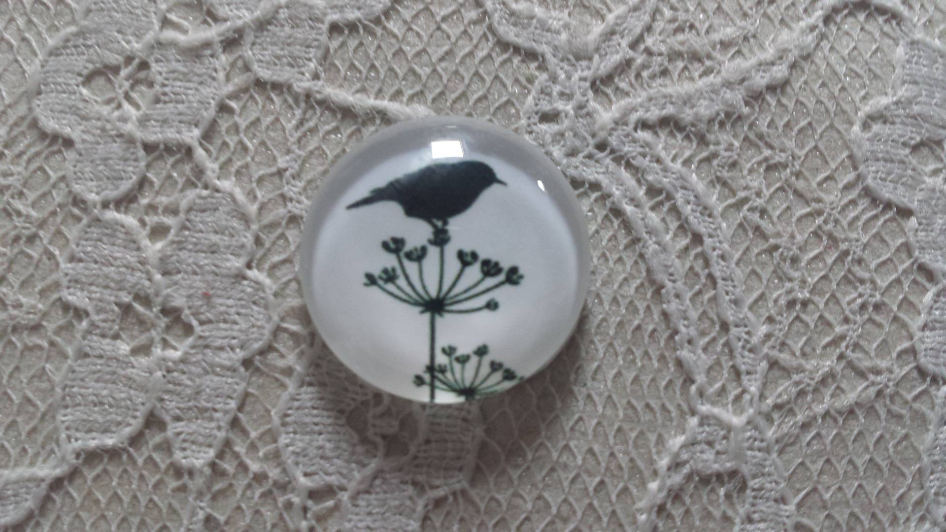 rond glas cabochon 20mm vogels 019 