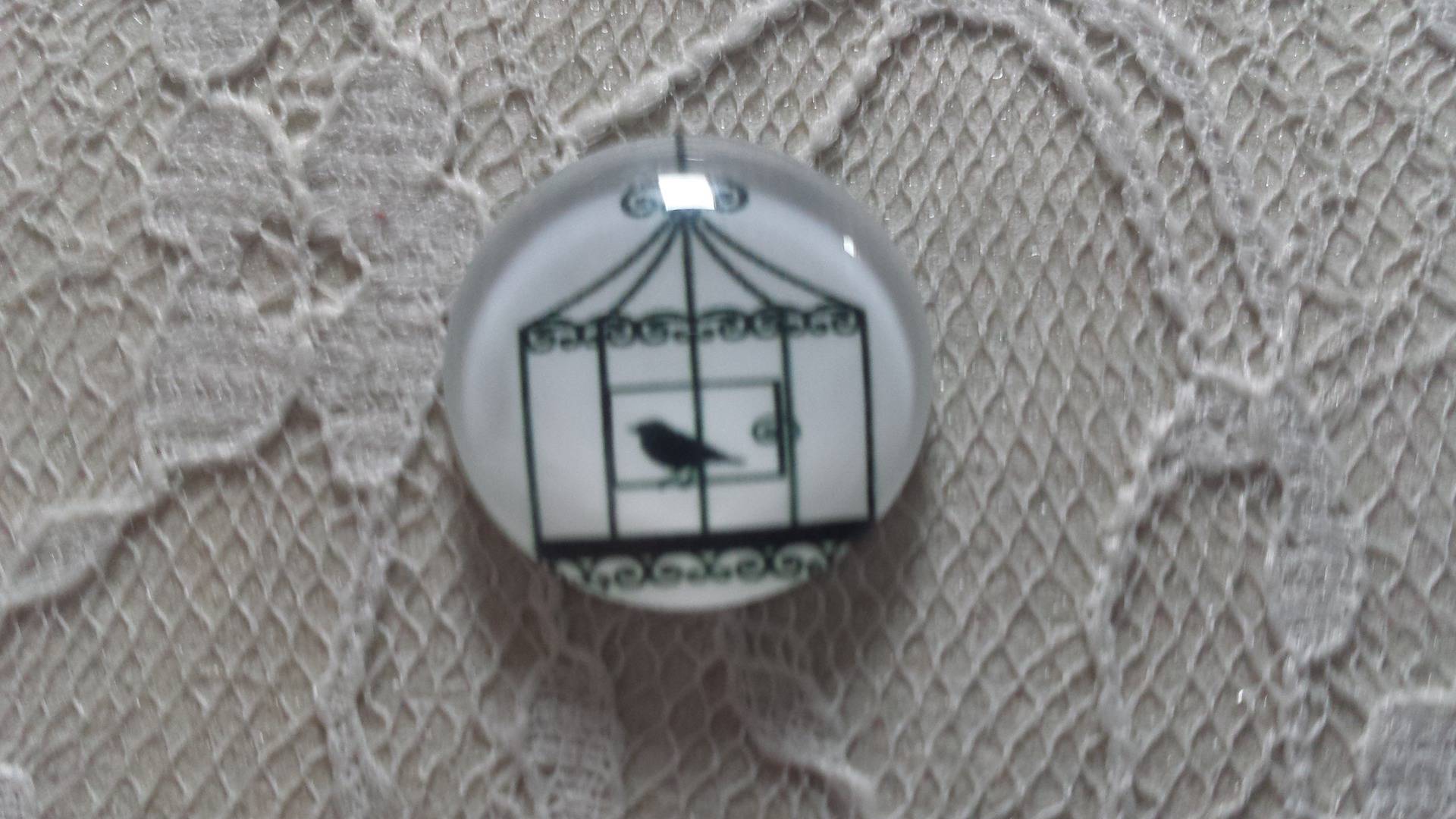 rond glas cabochon 20mm vogels 010 