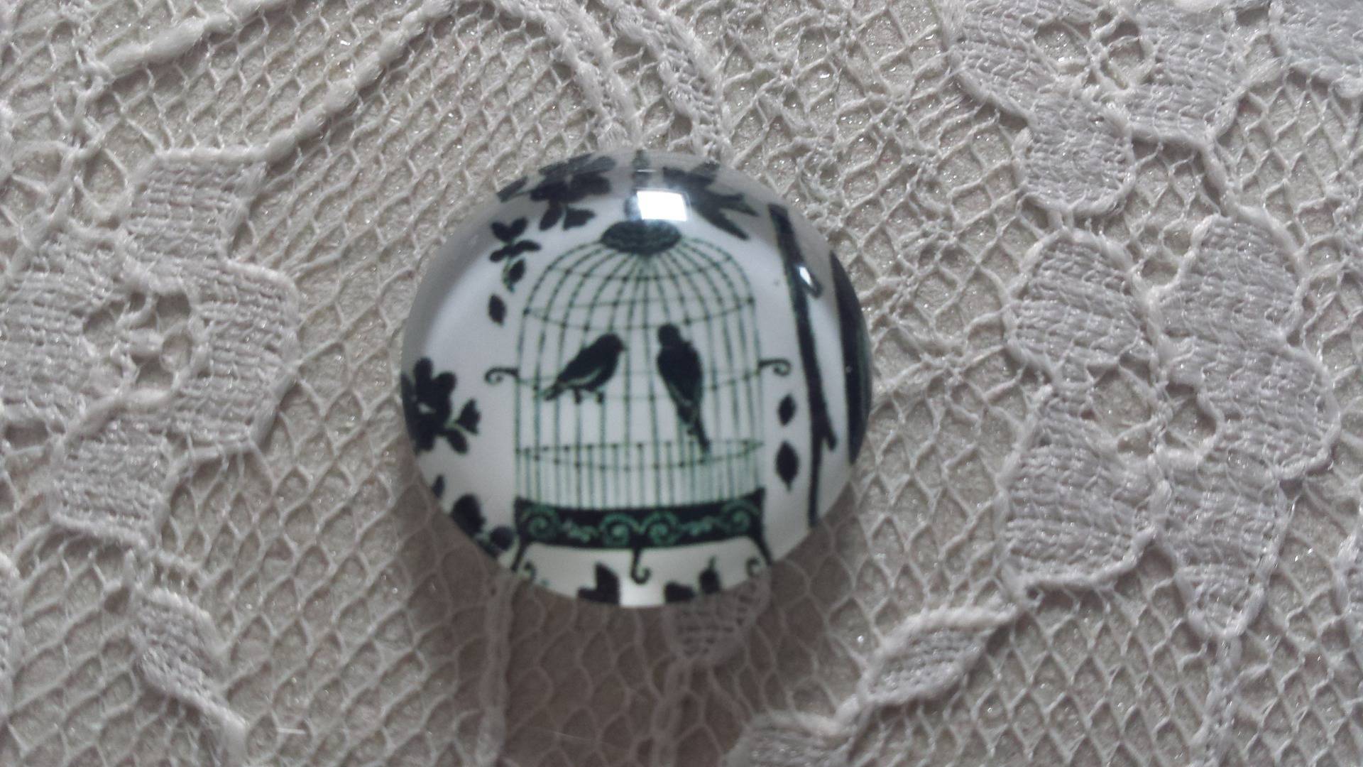 glazen cabochon rond 20mm vogels 006 