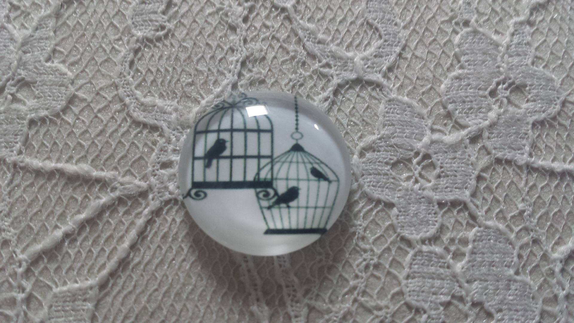 rond glas cabochon 20mm vogels 003 