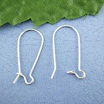 Dormeuse Oorbelhouder 24mm N°02 x 10 Paar