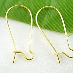 Dormeuse Oorbelhouder 24mm N°04 x 1 Paar