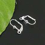 Sleeper Oorbelhouder N°20 x 10 Paar