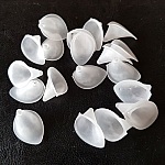 20 Bloemen Arums Wit Klein