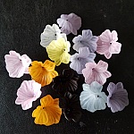 15 Bloemen N°01 assorti