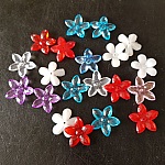 20 Bloemen N°03 assorti