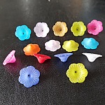 15 geassorteerde madeliefjes bloemen