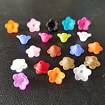 20 Vergeet-me-niet bloemen assorti