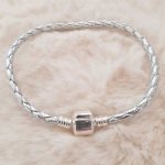 Europese Clip Armband Gewoon 01 VAN 15 TOT 23 CM Zilver