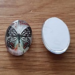 Cabochon Ovaal 13 x 18 mm Vlinder N°03