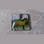 vierkante glazen cabochon 30mm 007 