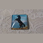 vierkante glazen cabochon 30mm 003 