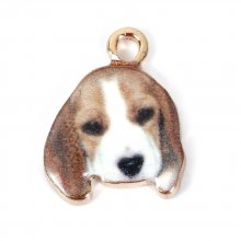 Hond Bedel N°07