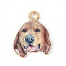 Hond Bedel N°08